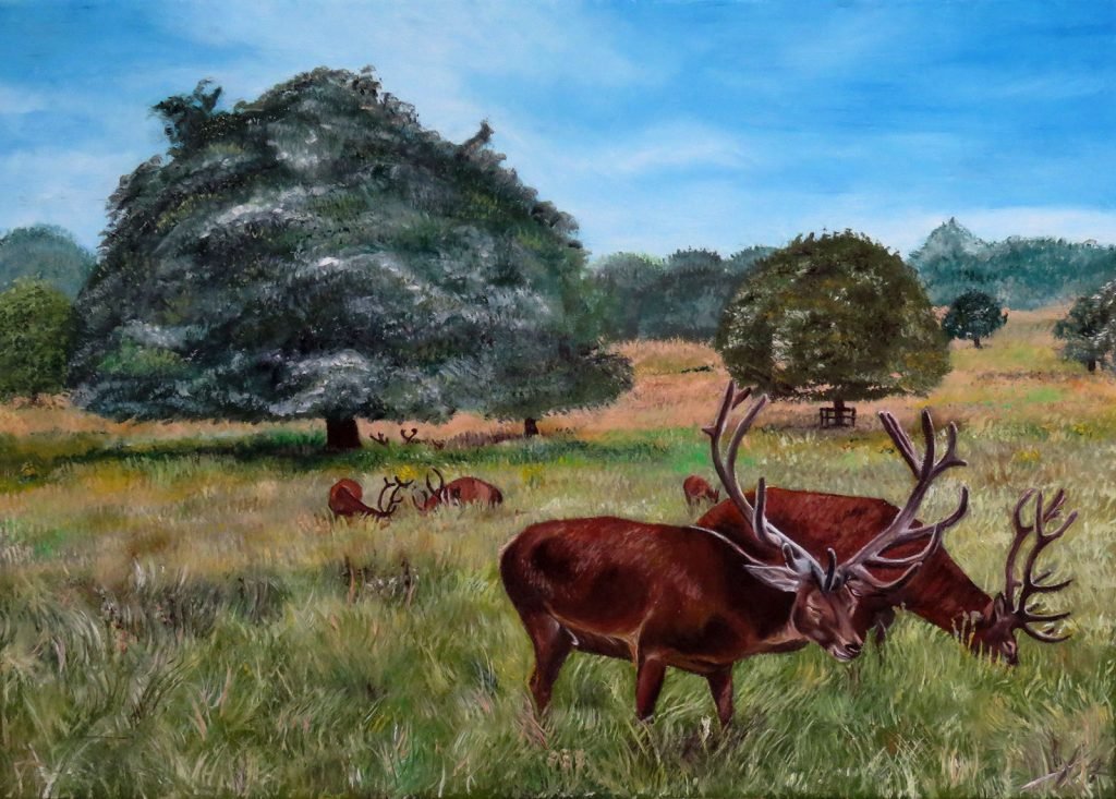 Wollaton Park oil painting